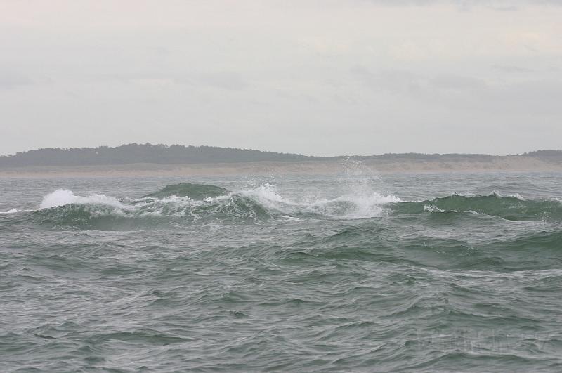 11-08-2008 131.jpg